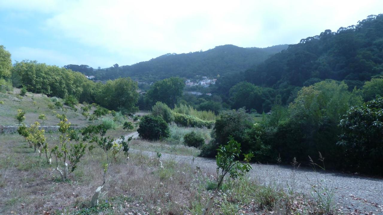 Ribeira Dos Marinheiros Vermelho Sintra Exteriör bild
